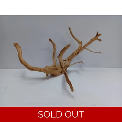 Redmoor root A47 43cm by 26cm L X H